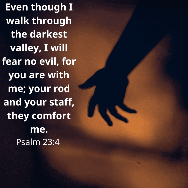 Psalm 23 v 4
