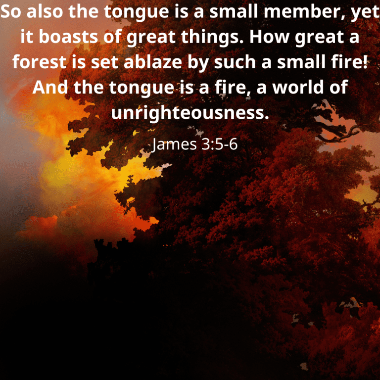 So also the tongue is a small member, yet it boasts of great things. How great a forest is set ablaze by such a small fire! And the tongue is a fire, a world of unrighteousness.