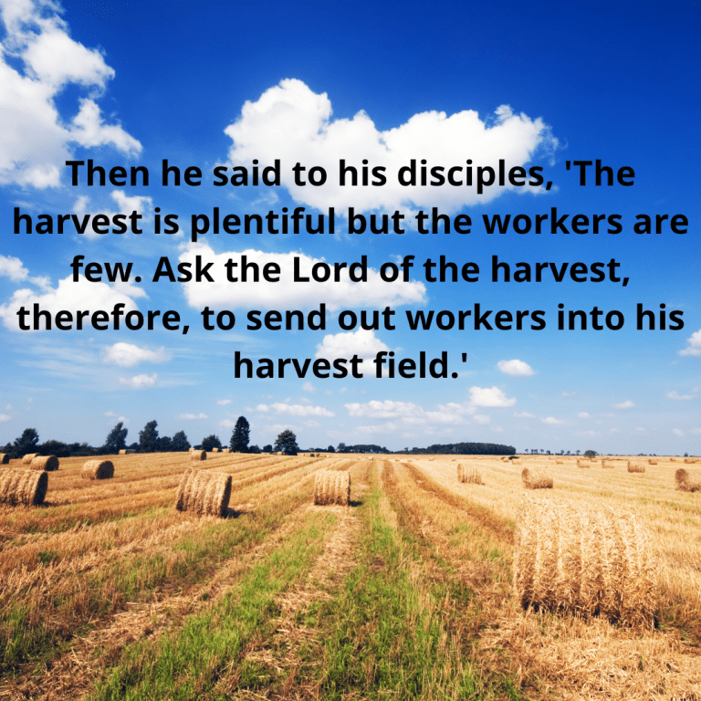 Then he said to his disciples, 'The harvest is plentiful but the workers are few. Ask the Lord of the harvest, therefore, to send out workers into his harvest field.'