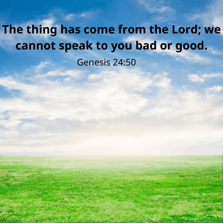 The thing has come from the Lord; we cannot speak to you bad or good.