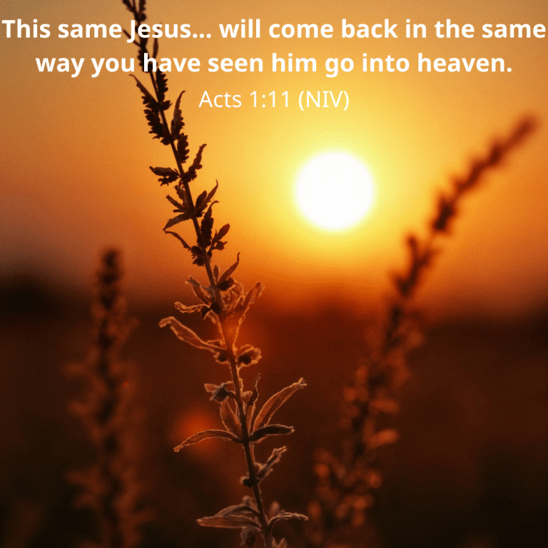 This same Jesus... will come back in the same way you have seen him go into heaven.